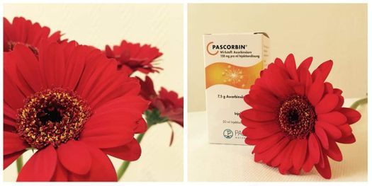 Dr. Christine Noack-Riese, Berlin