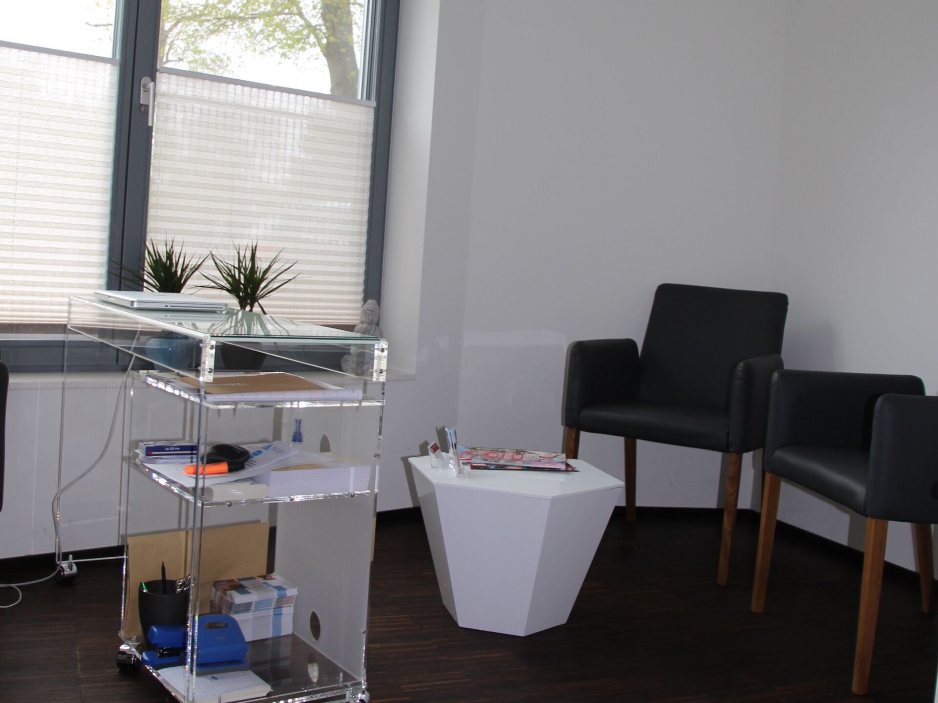 Dr. Christine Noack-Riese, Berlin