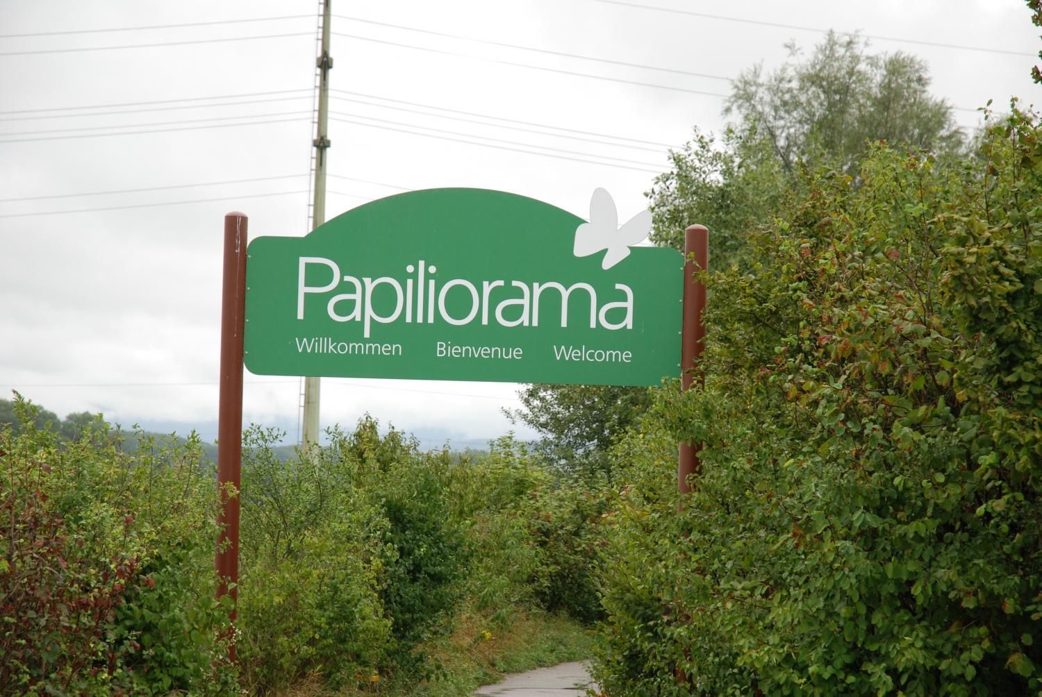 Jodlerklub Flueblüemli Luzern