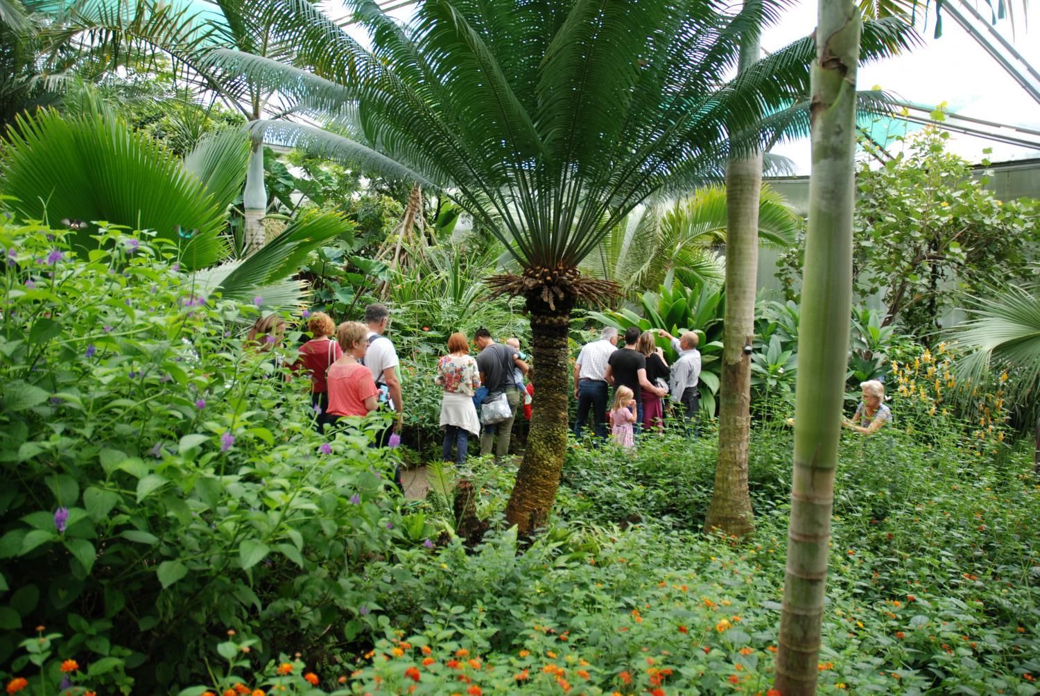Jodlerklub Flueblüemli Luzern