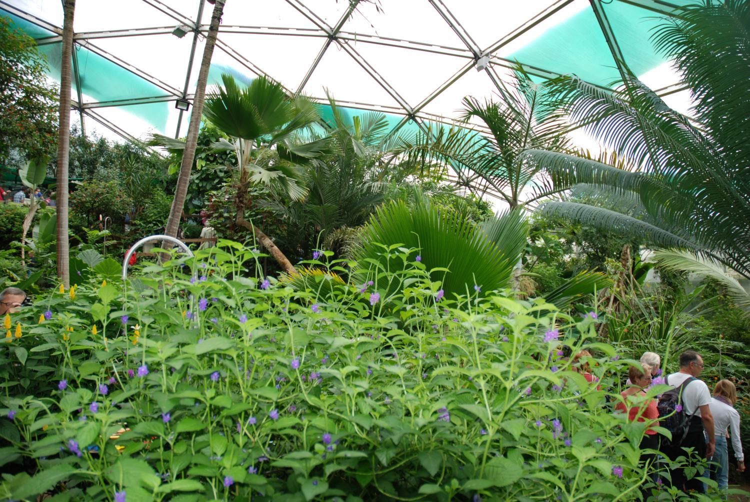 Jodlerklub Flueblüemli Luzern