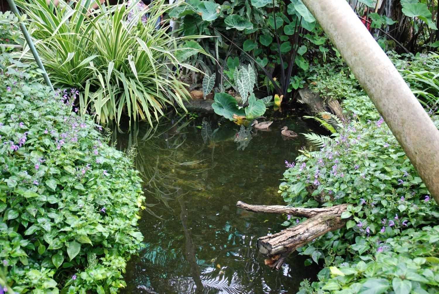 Jodlerklub Flueblüemli Luzern