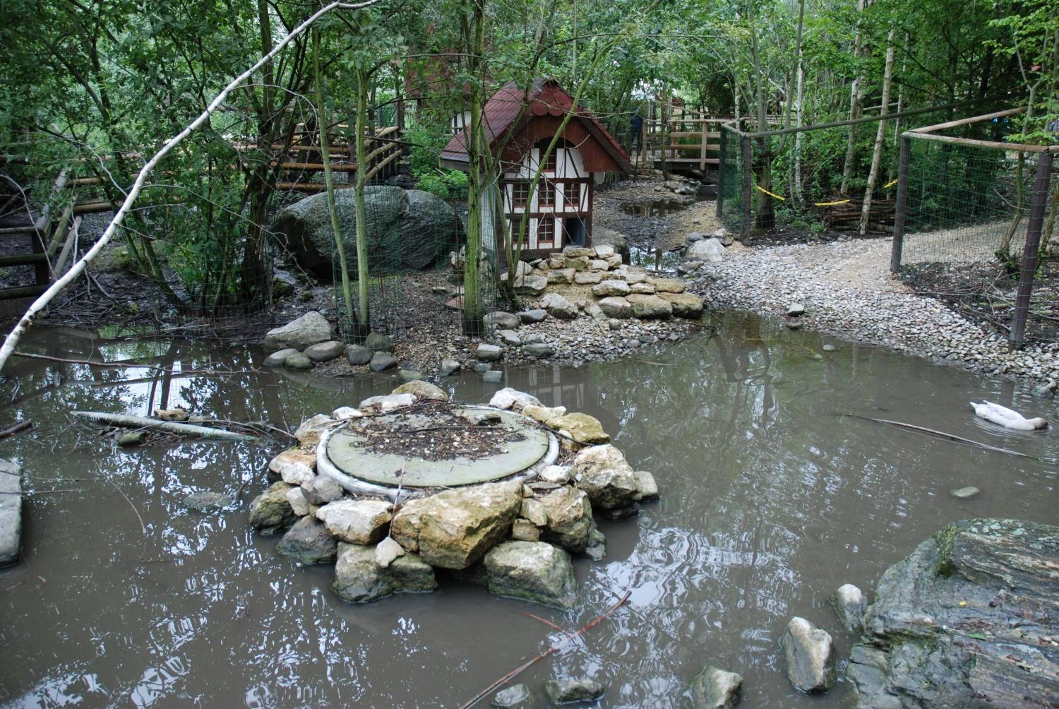 Jodlerklub Flueblüemli Luzern