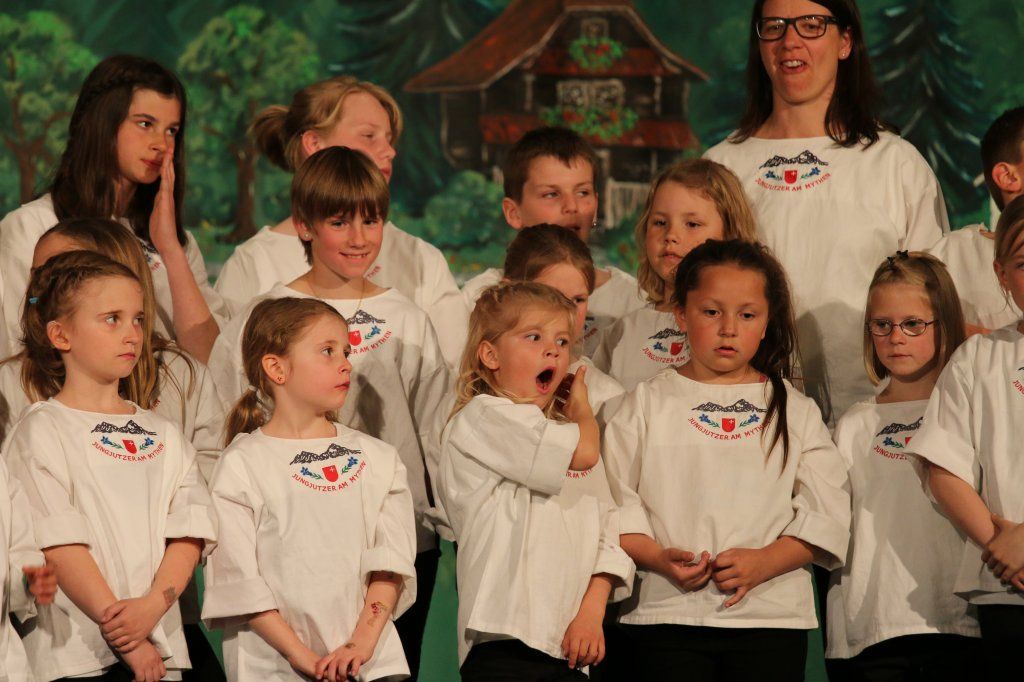 Jodlerklub Flueblüemli Luzern