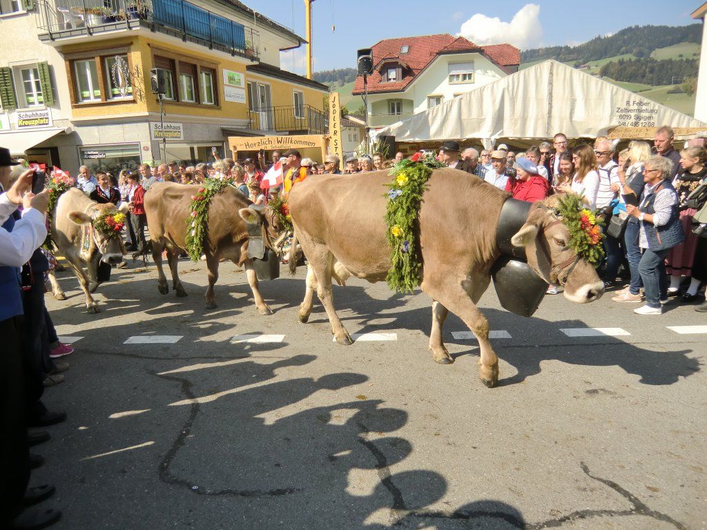 Jodlerklub Flueblüemli Luzern