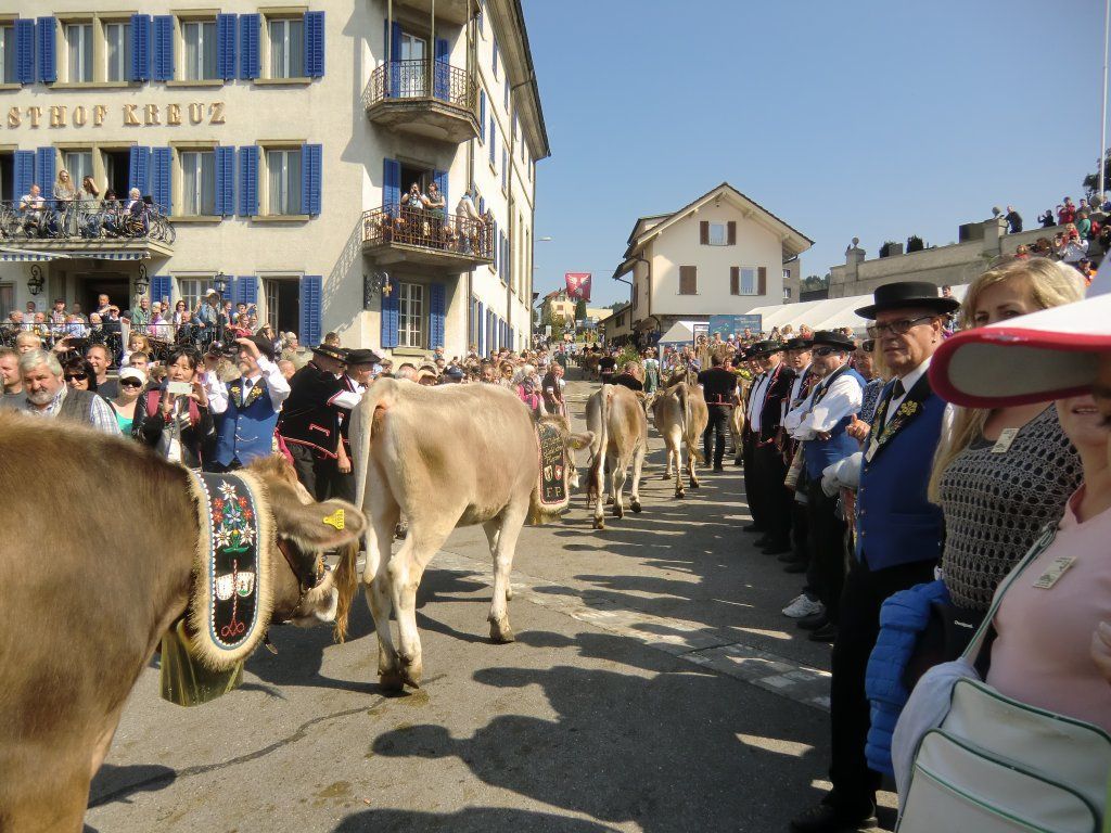 Jodlerklub Flueblüemli Luzern
