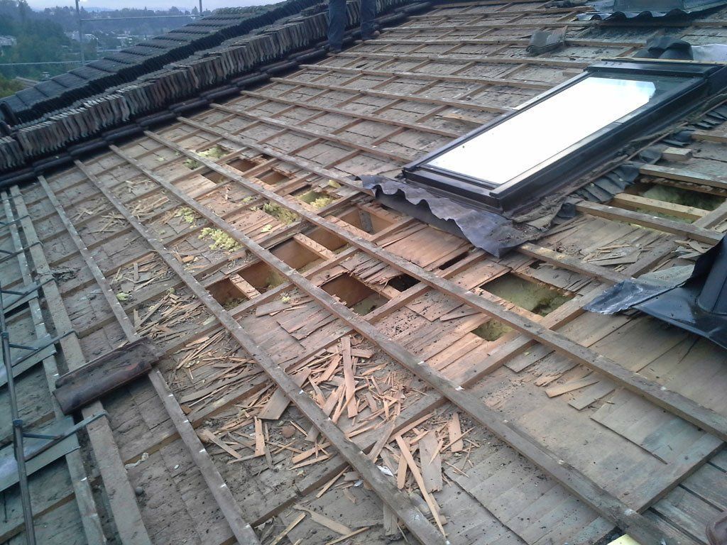 Marderschaden 1 - Etter Bedachungen - Bern