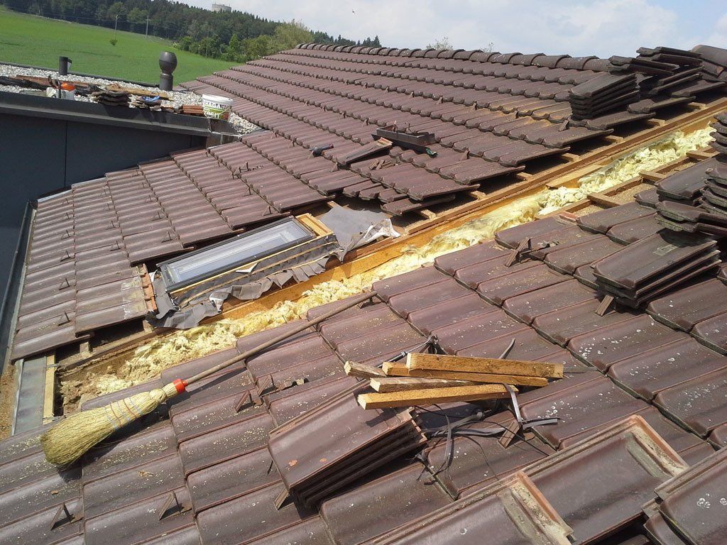 Marderschaden 10 - Etter Bedachungen - Bern