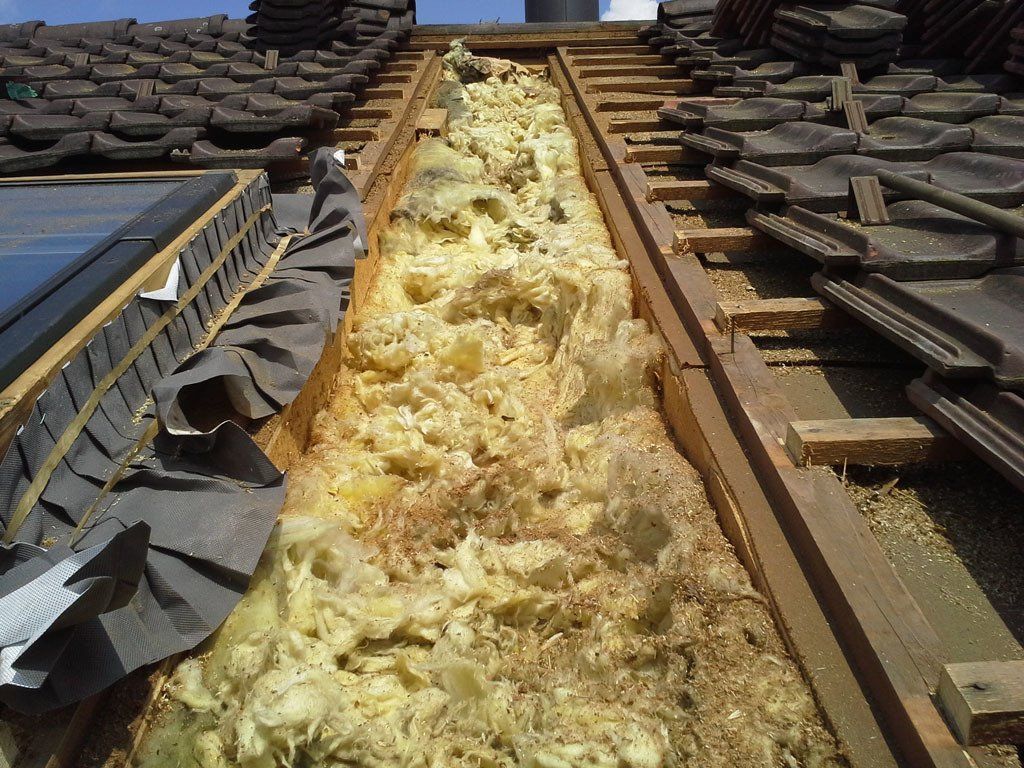 Marderschaden 11 - Etter Bedachungen - Bern