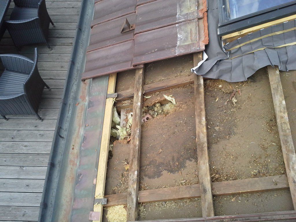 Marderschaden 12 - Etter Bedachungen - Bern