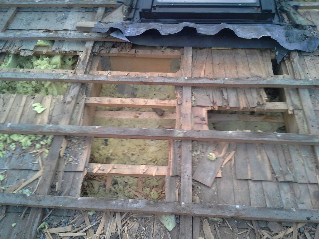 Marderschaden 2 - Etter Bedachungen - Bern