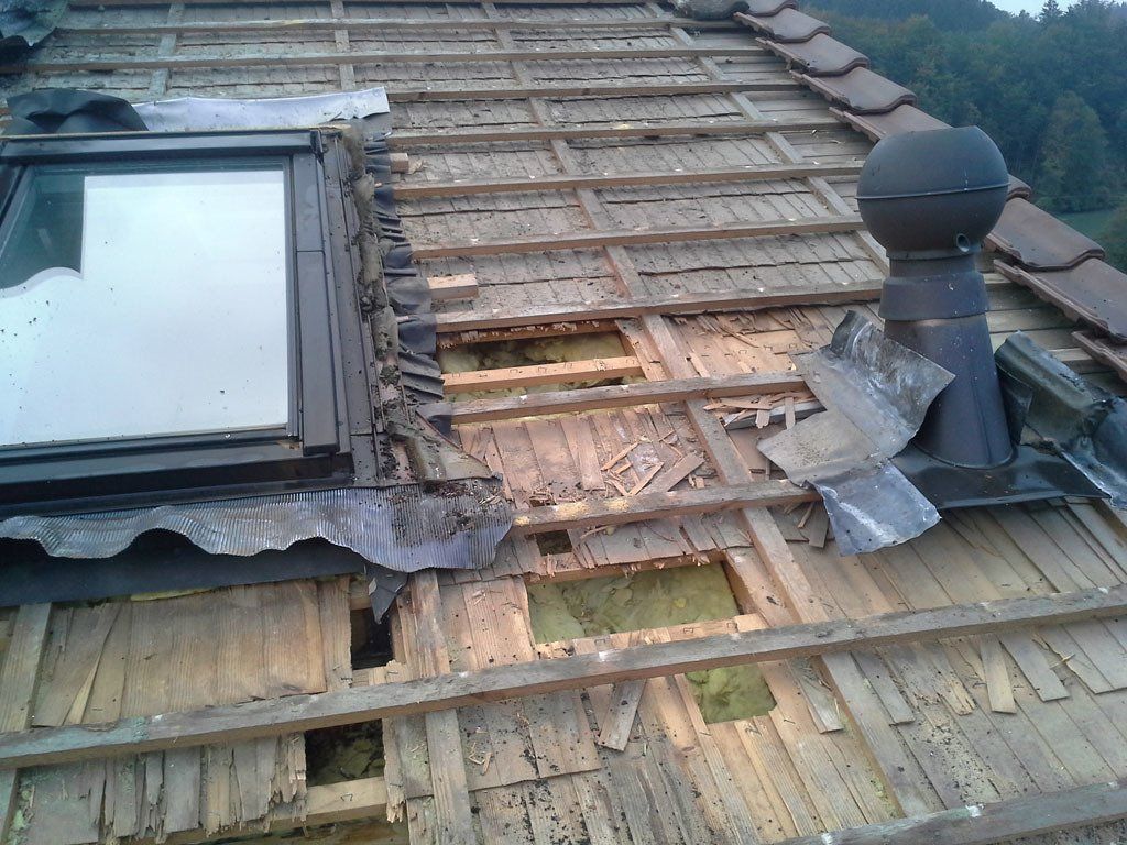 Marderschaden 3 - Etter Bedachungen - Bern