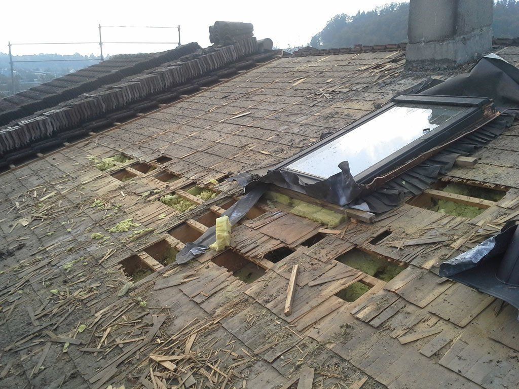 Marderschaden 4 - Etter Bedachungen - Bern