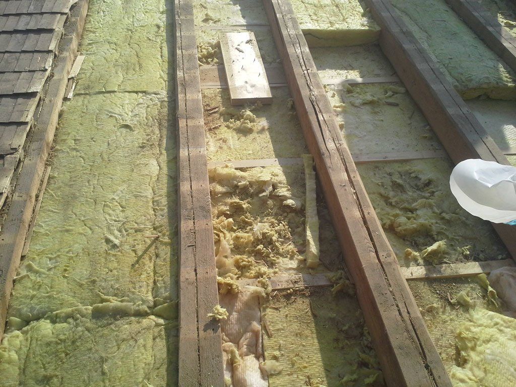 Marderschaden 6 - Etter Bedachungen - Bern