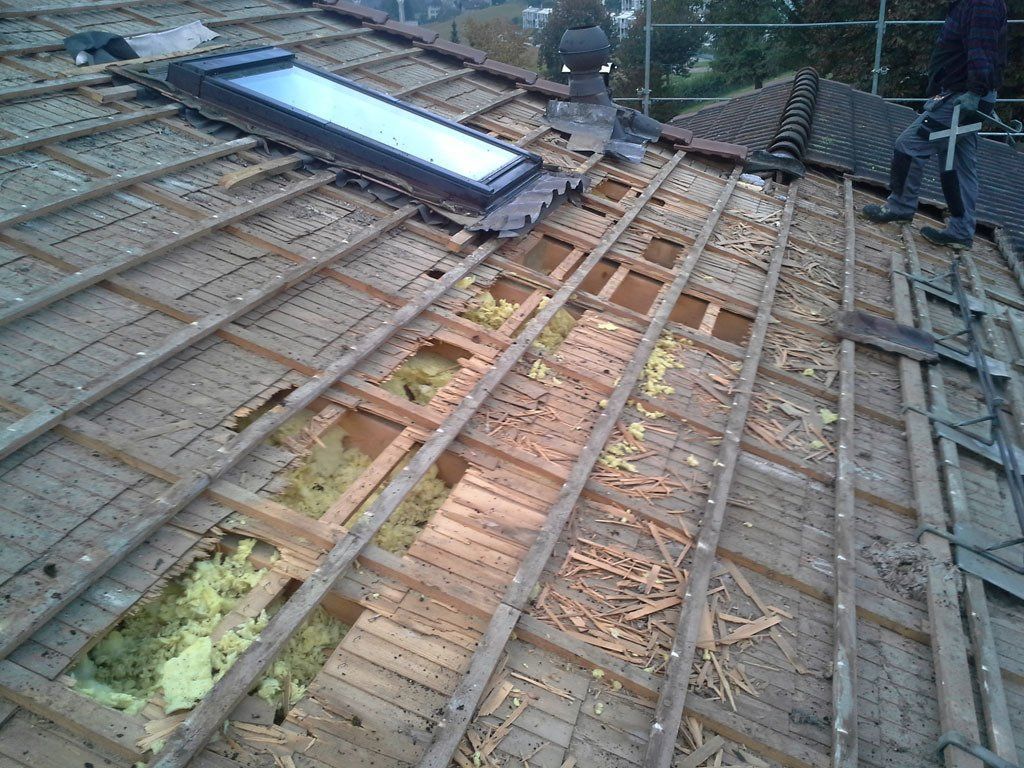 Marderschaden 9 - Etter Bedachungen - Bern