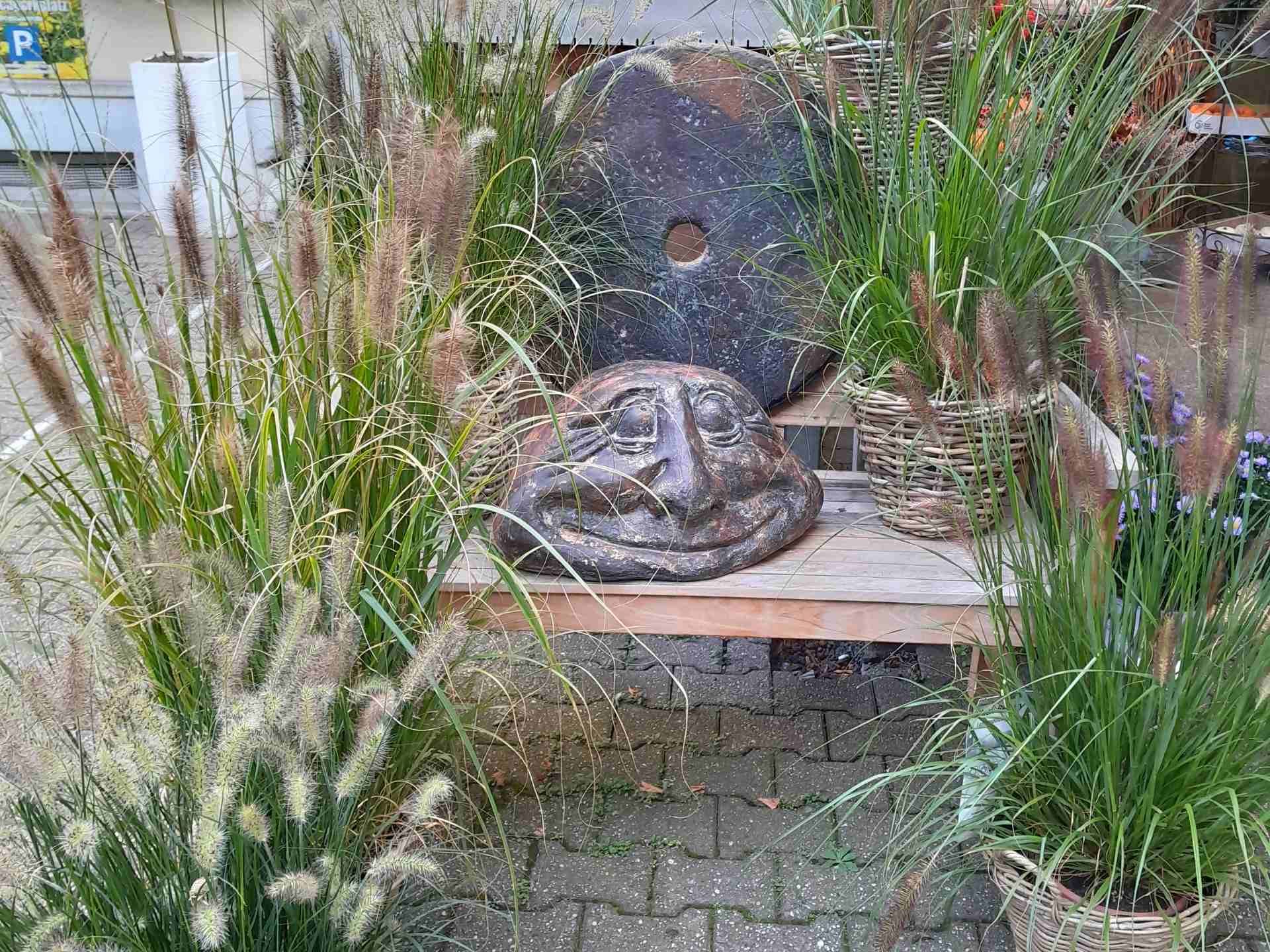 Pflanzen und Dekorationen von Blumen Löwenzahn