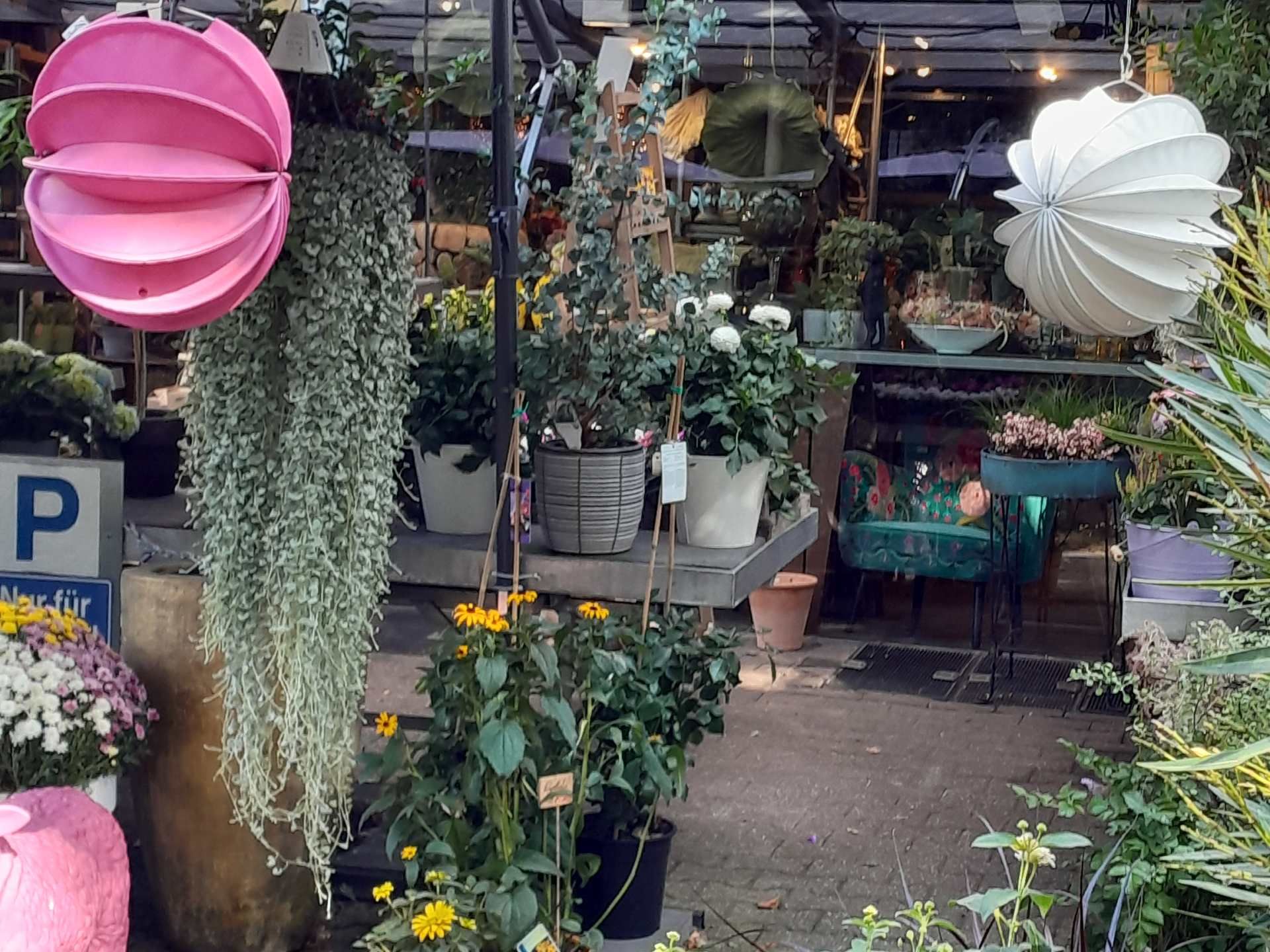 Laden von Blumen Löwenzahn