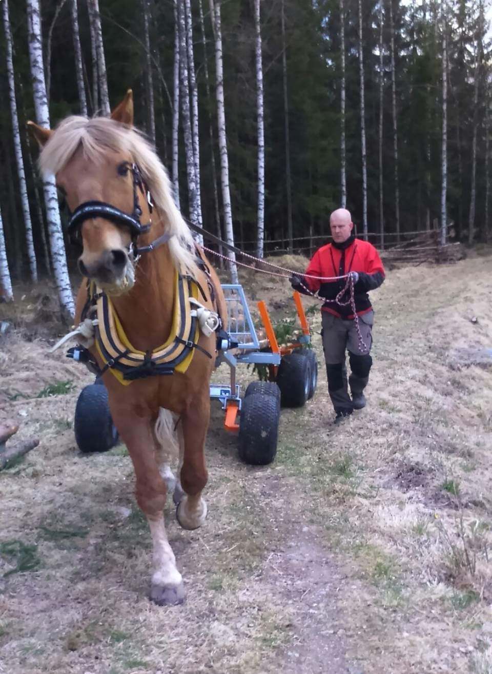 Tmi Mikko Rämö