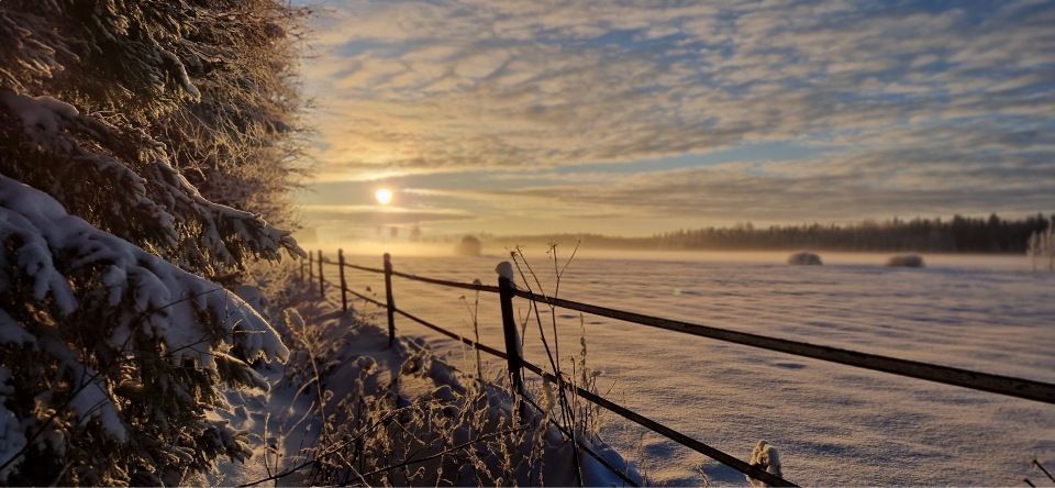 Tmi Mikko Rämö