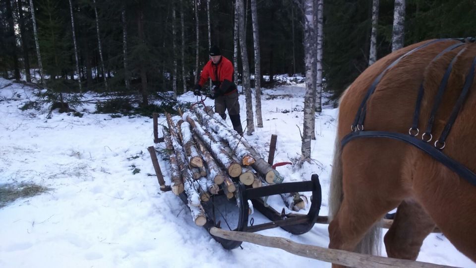 Tmi Mikko Rämö