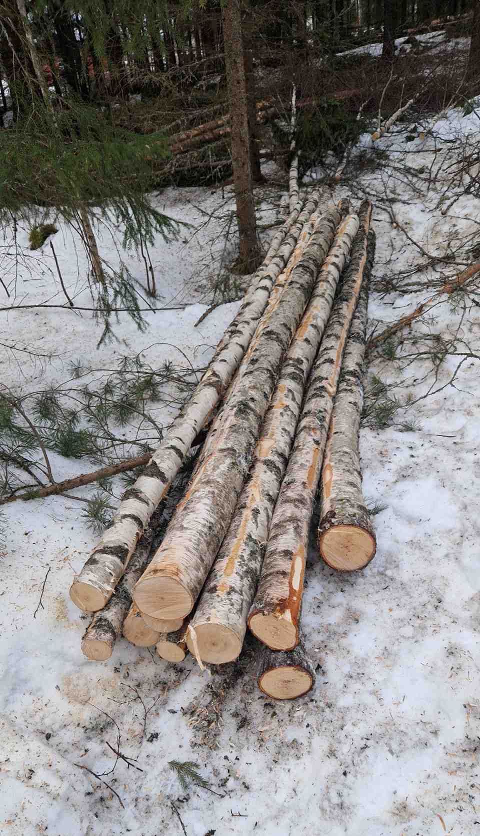 Tmi Mikko Rämö