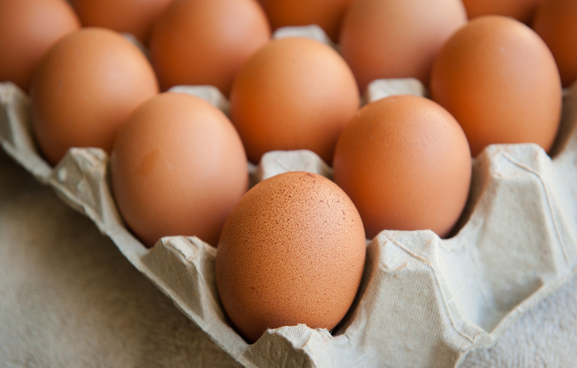 Foto Eier im Eierkarton