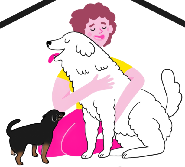 Cuatro perros mirando hacia arriba, incluido un perro salchicha, con una cerca de bambú y escaleras de colores.