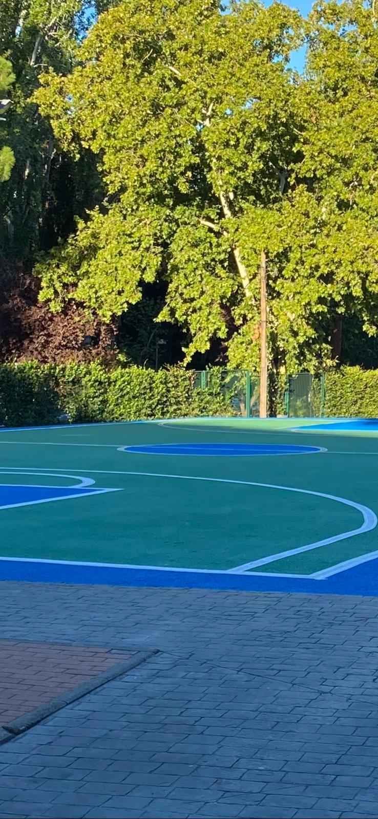 Una cancha de baloncesto verde y azul con árboles al fondo.
