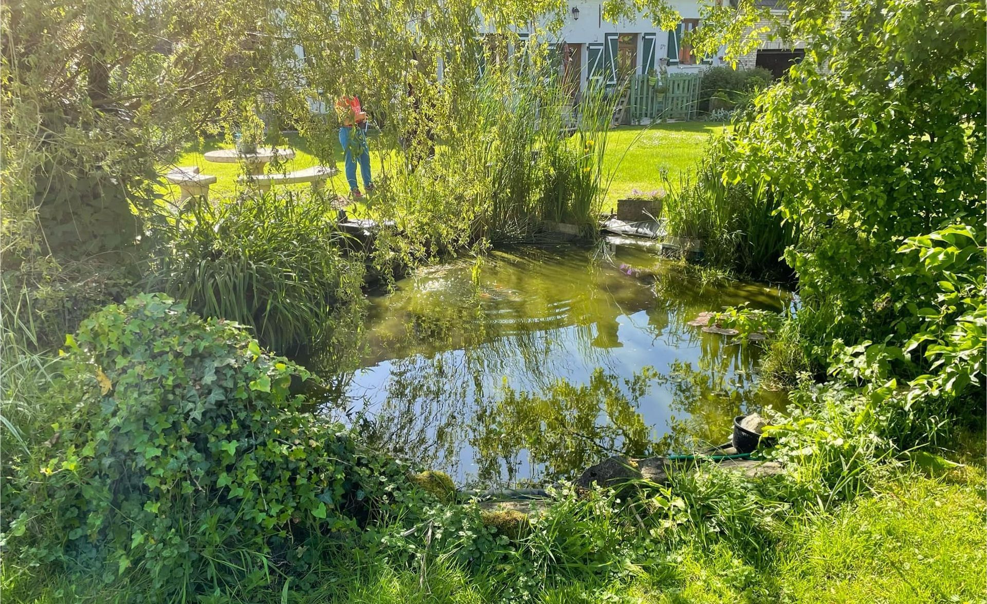 Bassin d'ornement à rénover