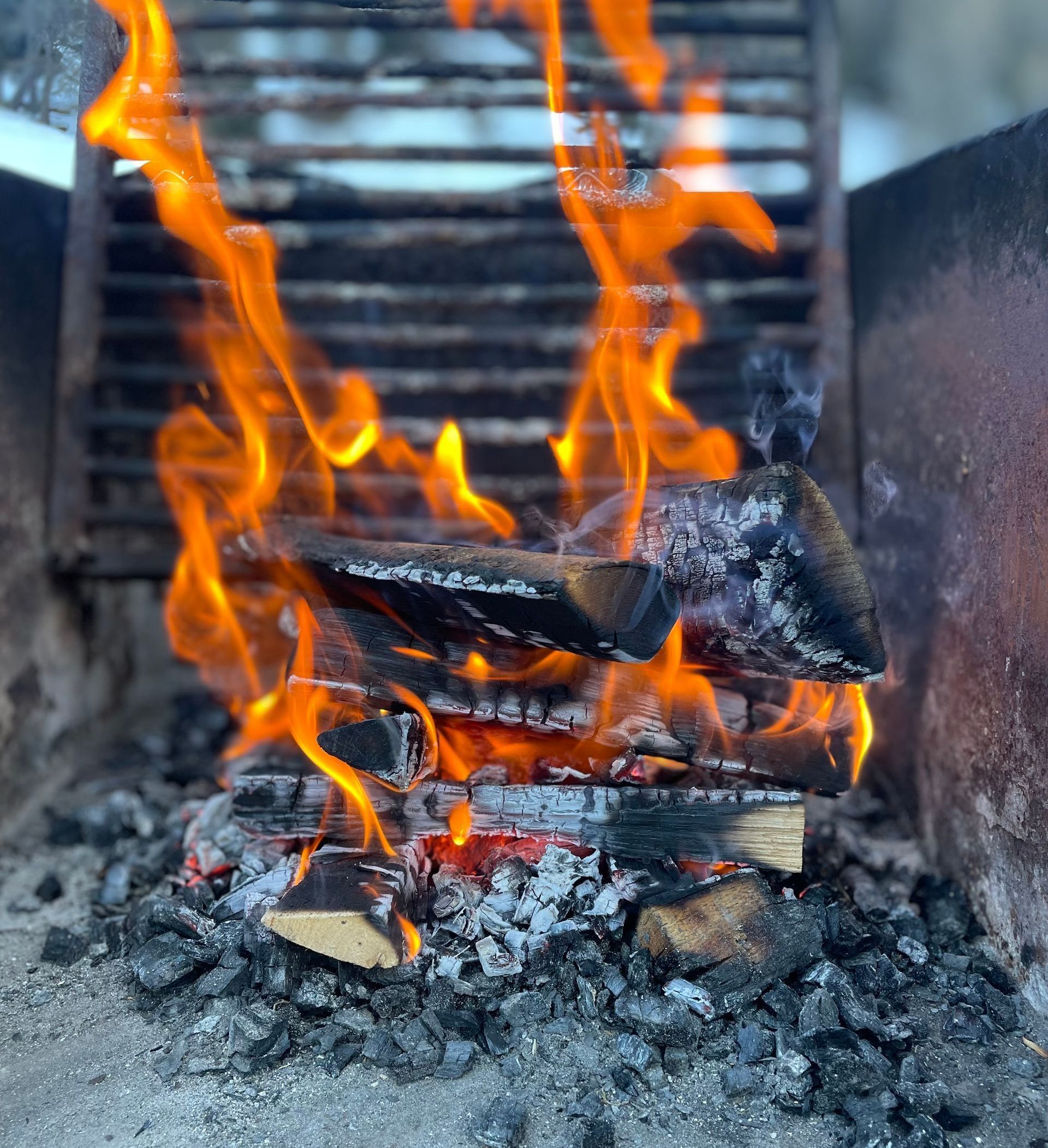 feu de bois dans un foyer