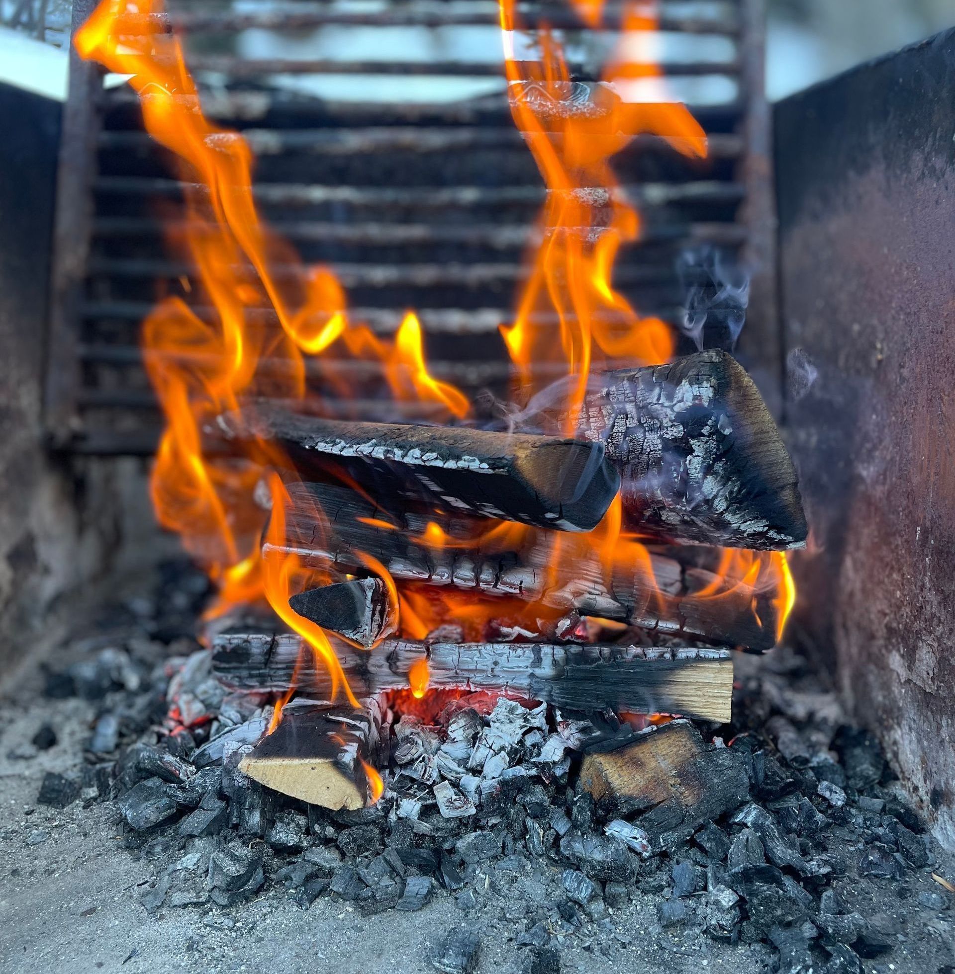 feu de bois dans un foyer