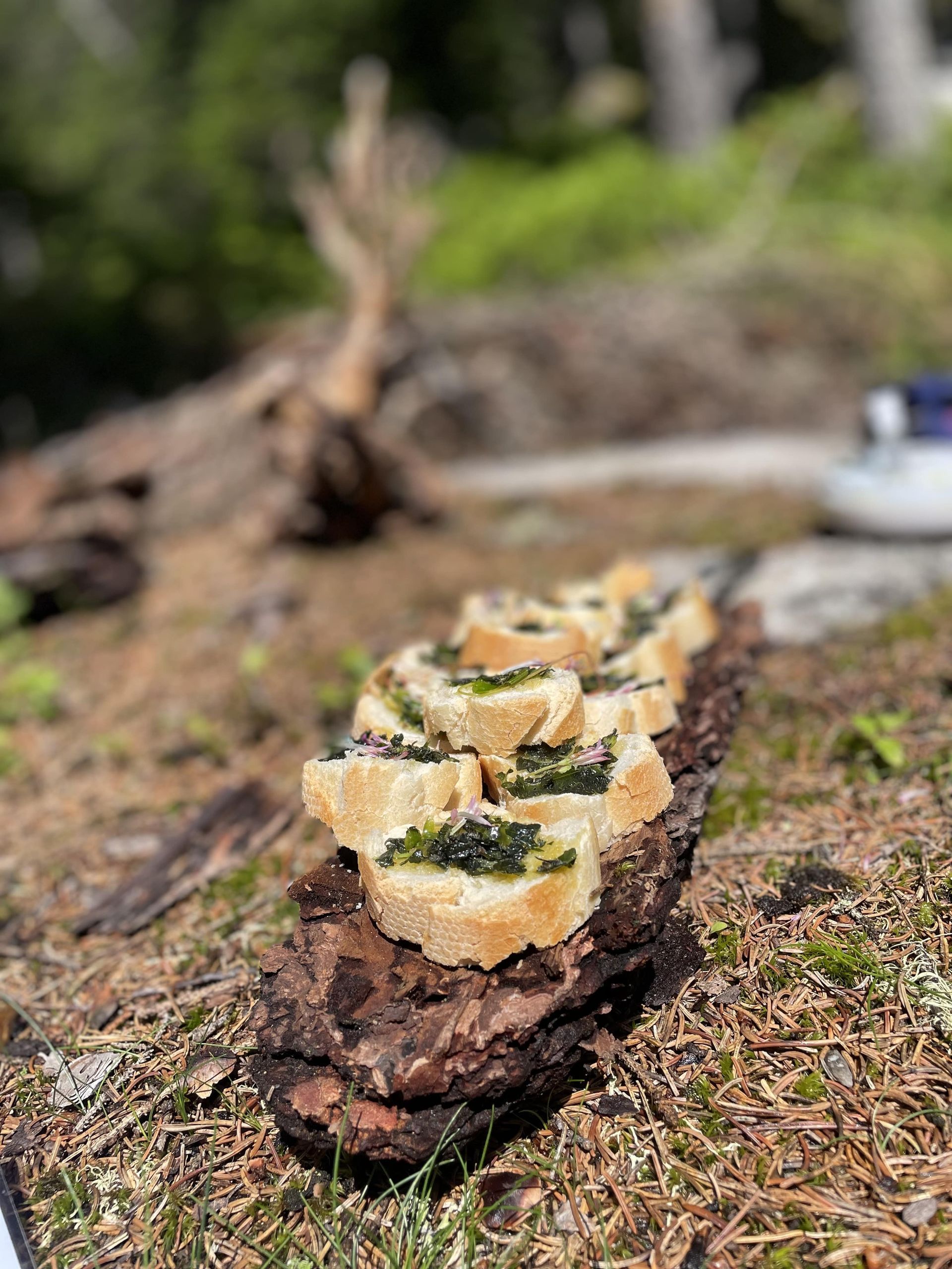 Des tartines de fromage et des herbes posées sur une pierre en pleine nature.