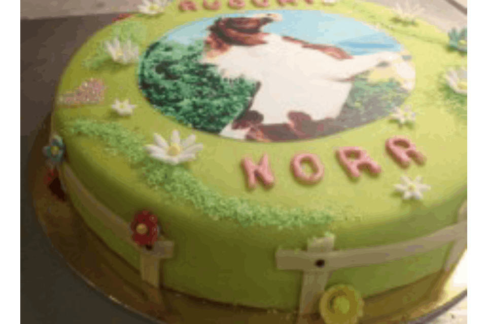 torta personalizzata
