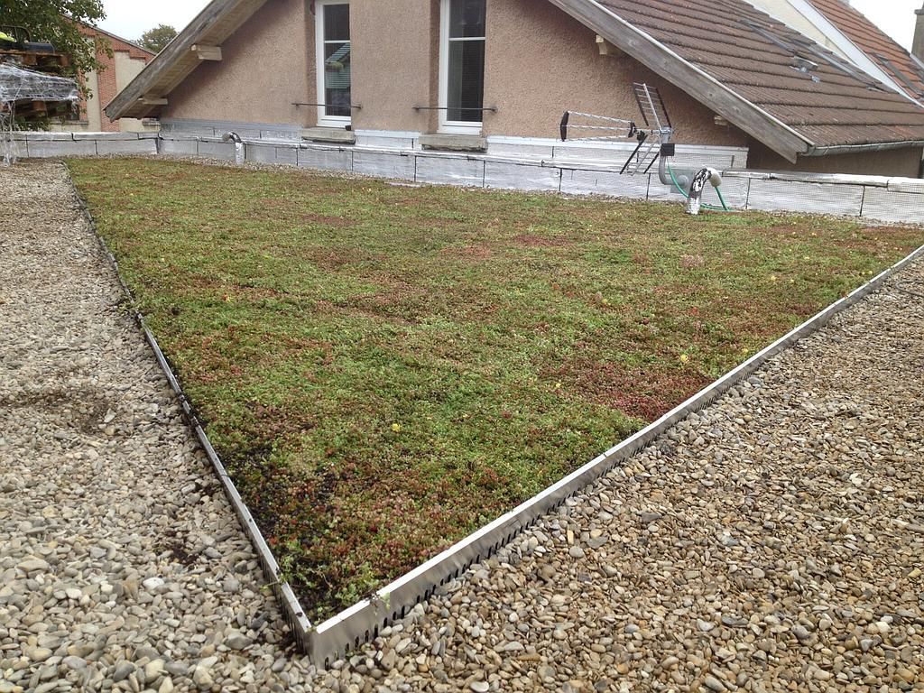Végétalisation d'un toit-terrasse