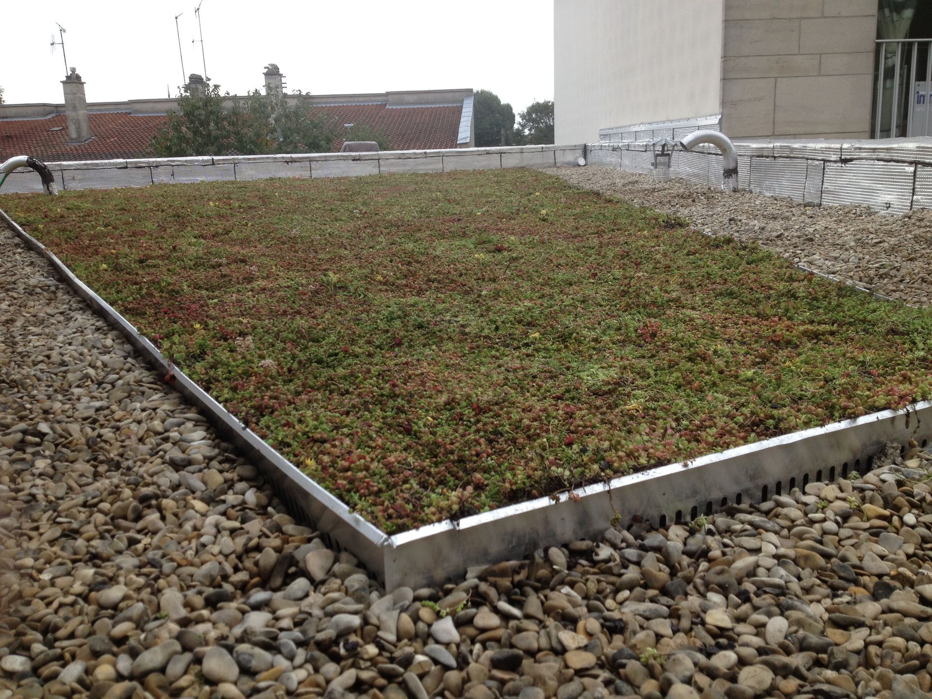 Toit plat végétalisé d'immeuble
