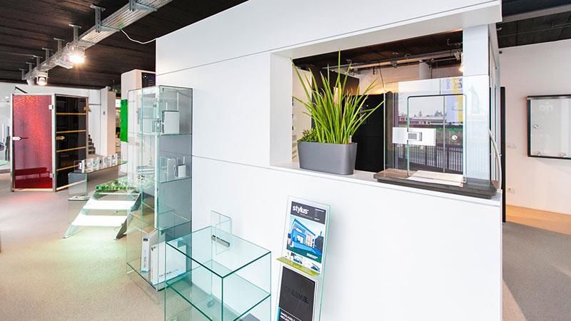 Ein Zimmer mit einer Pflanze in einem Topf an der Wand