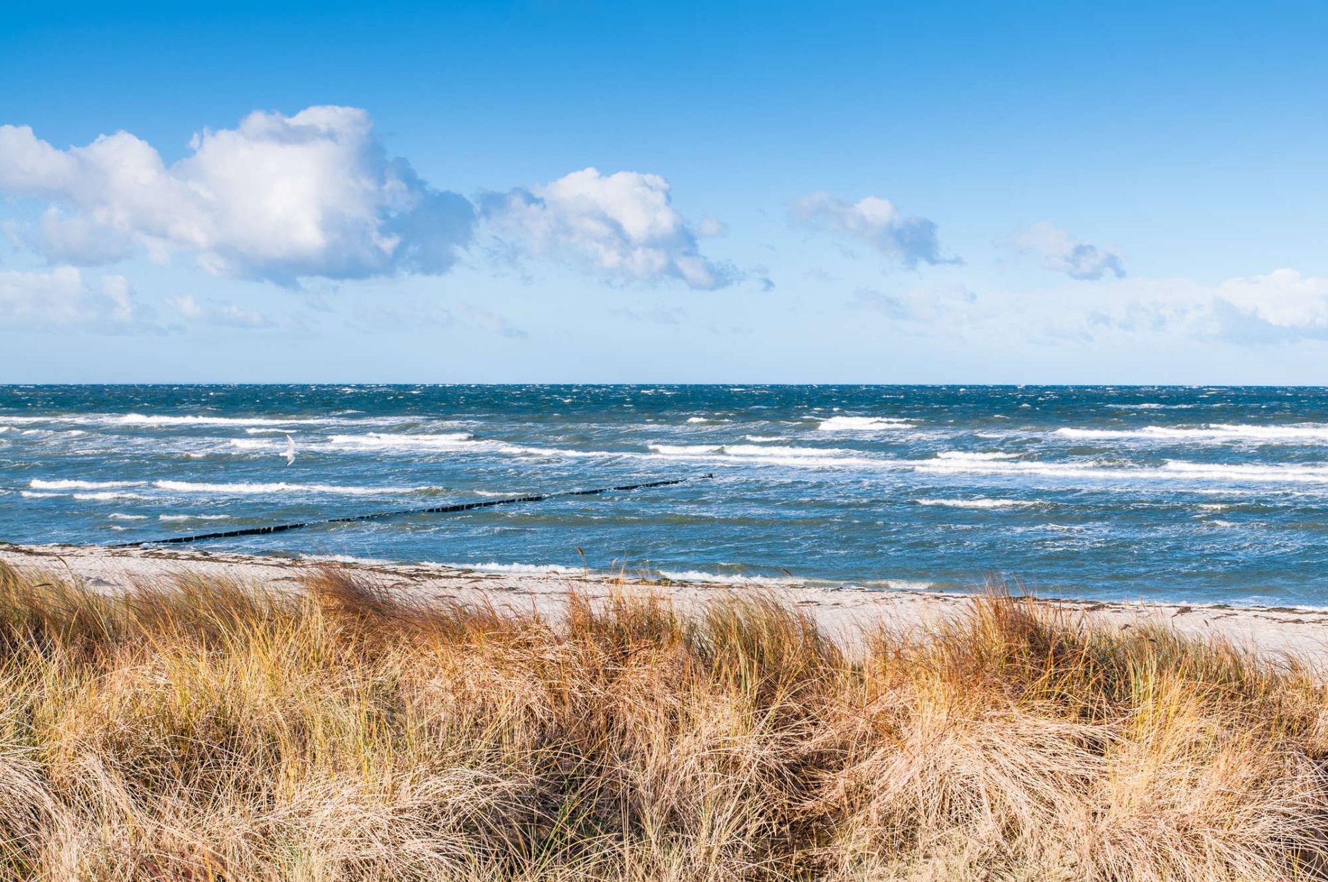 Foto: Nordsee mit Blick aufs Meer