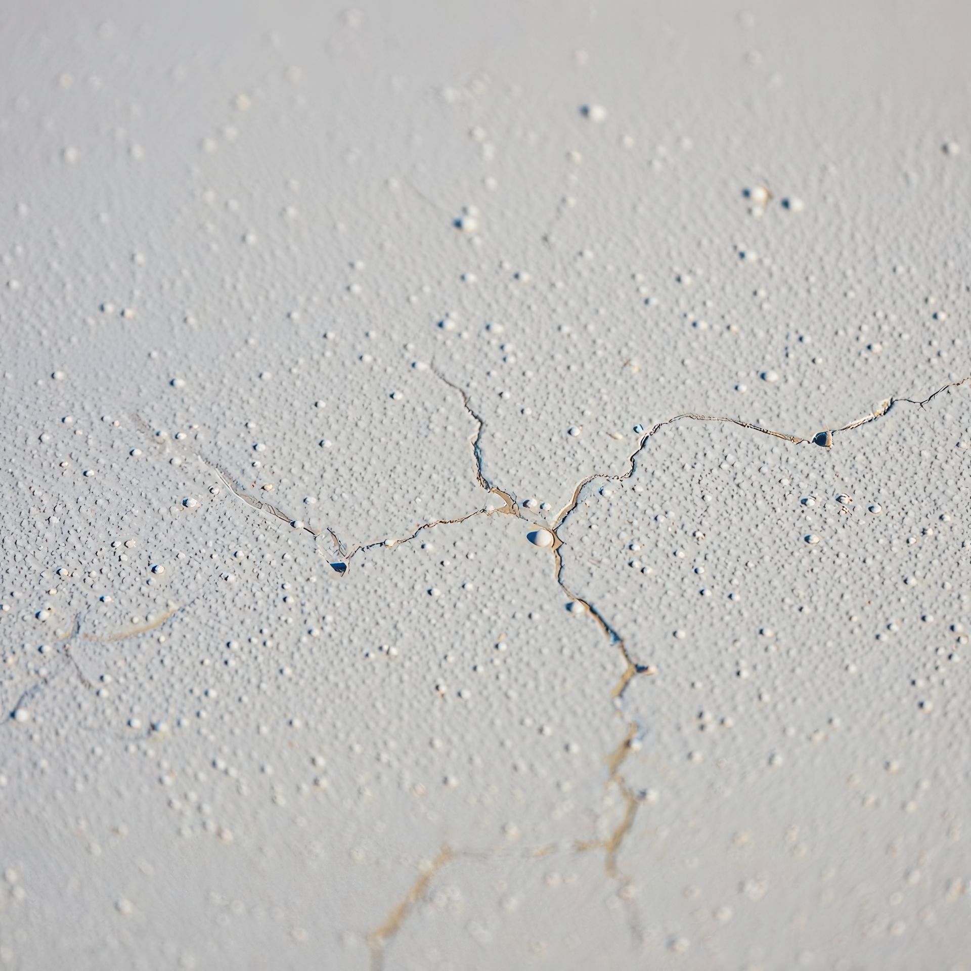 Petites fuissures sur un mur blanc