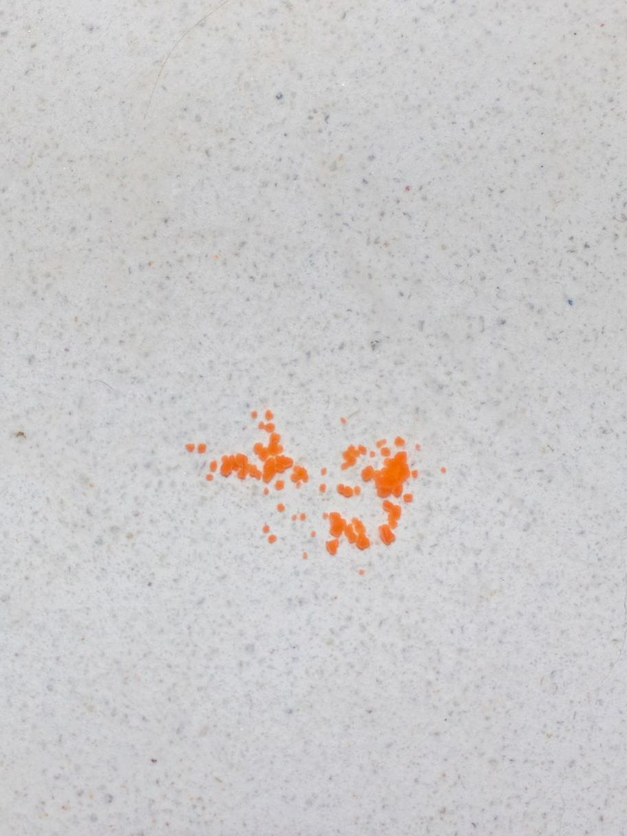 Petites traces orange d'apparition de la mérule