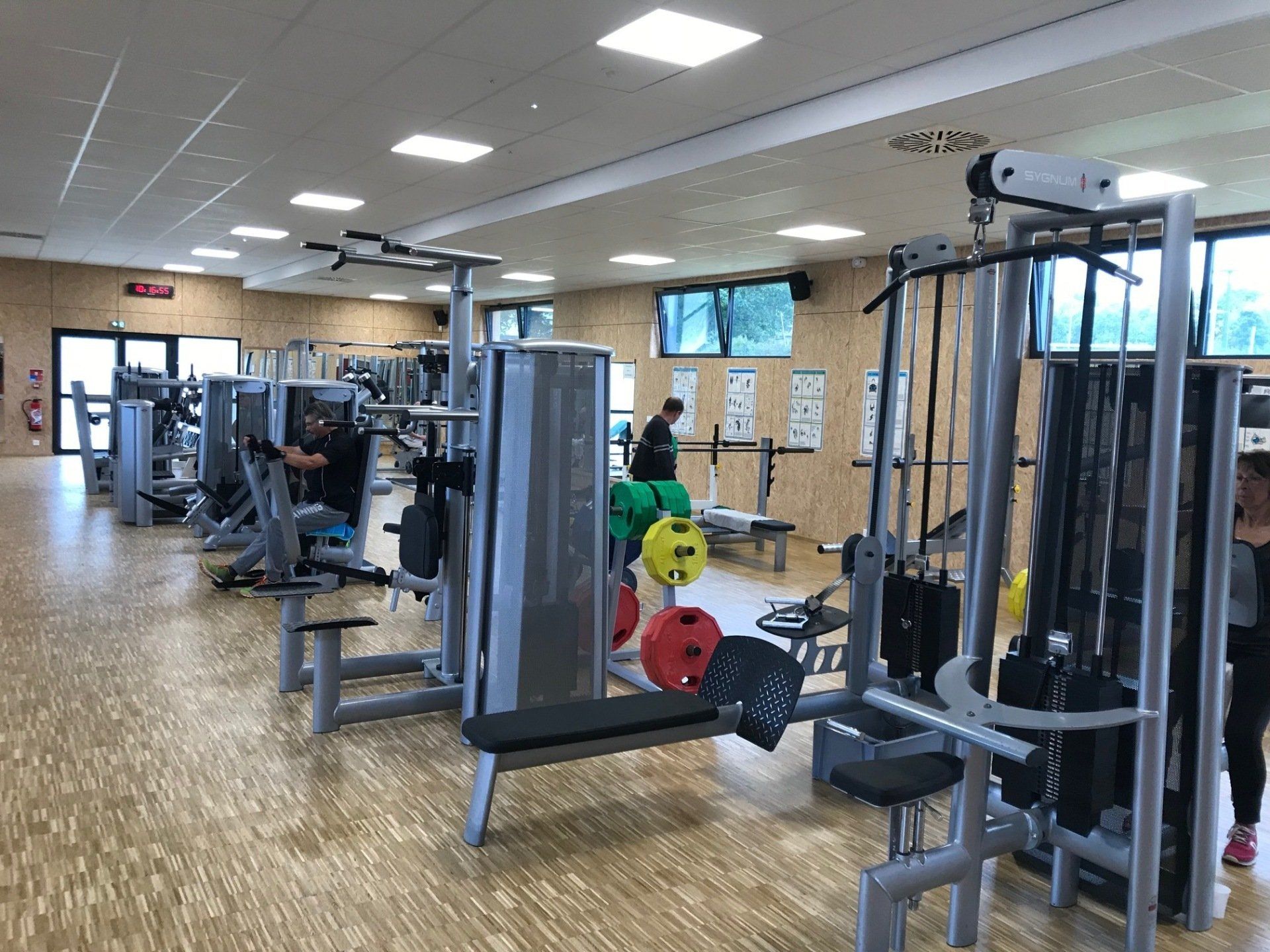 Salle de sport avec des haltères de différentes couleurs