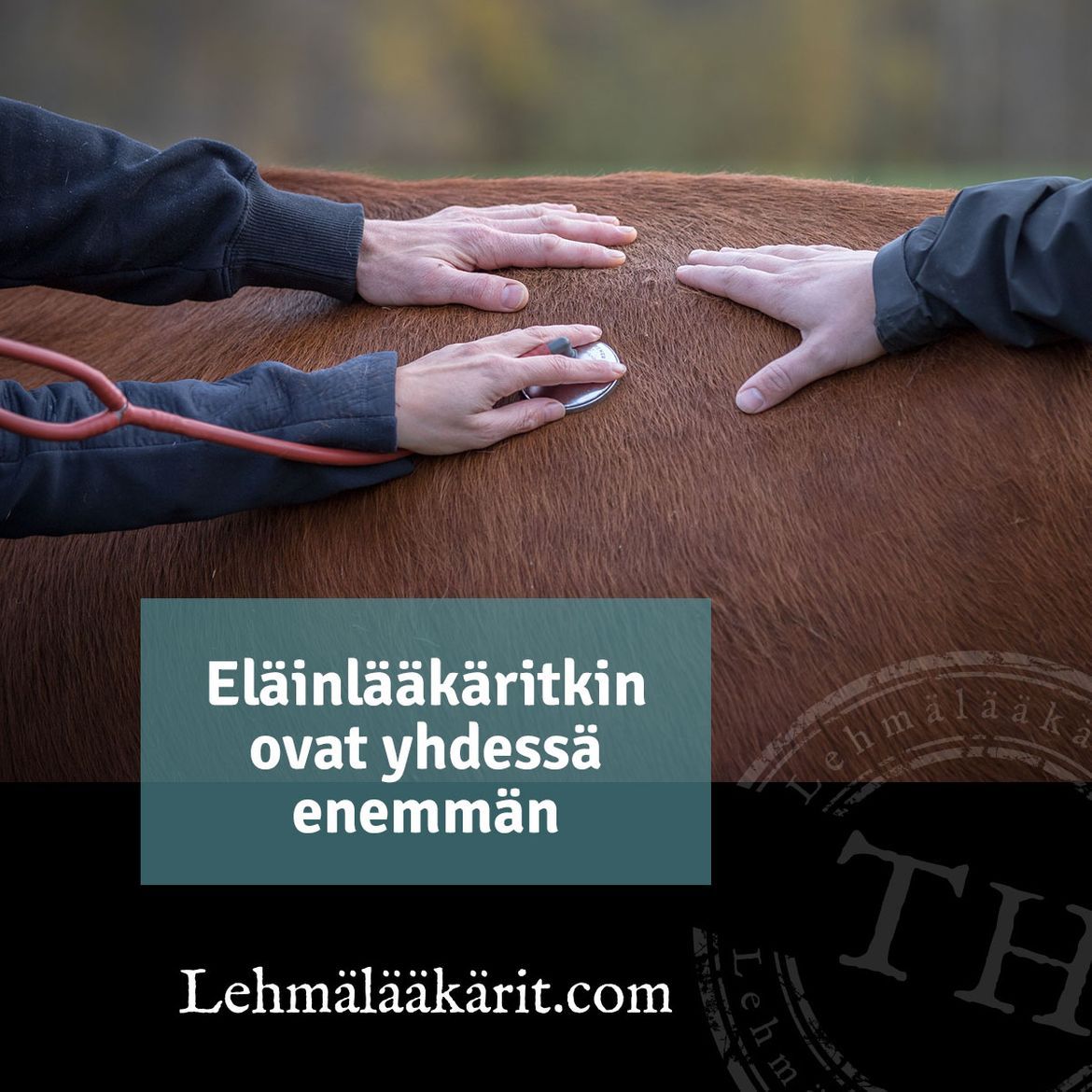 lehmalaakarit