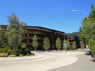 Schötz Merhfamilienhäuser - Malergeschäft André Lichtsteiner