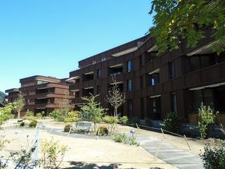 Schötz Merhfamilienhäuser - Malergeschäft André Lichtsteiner