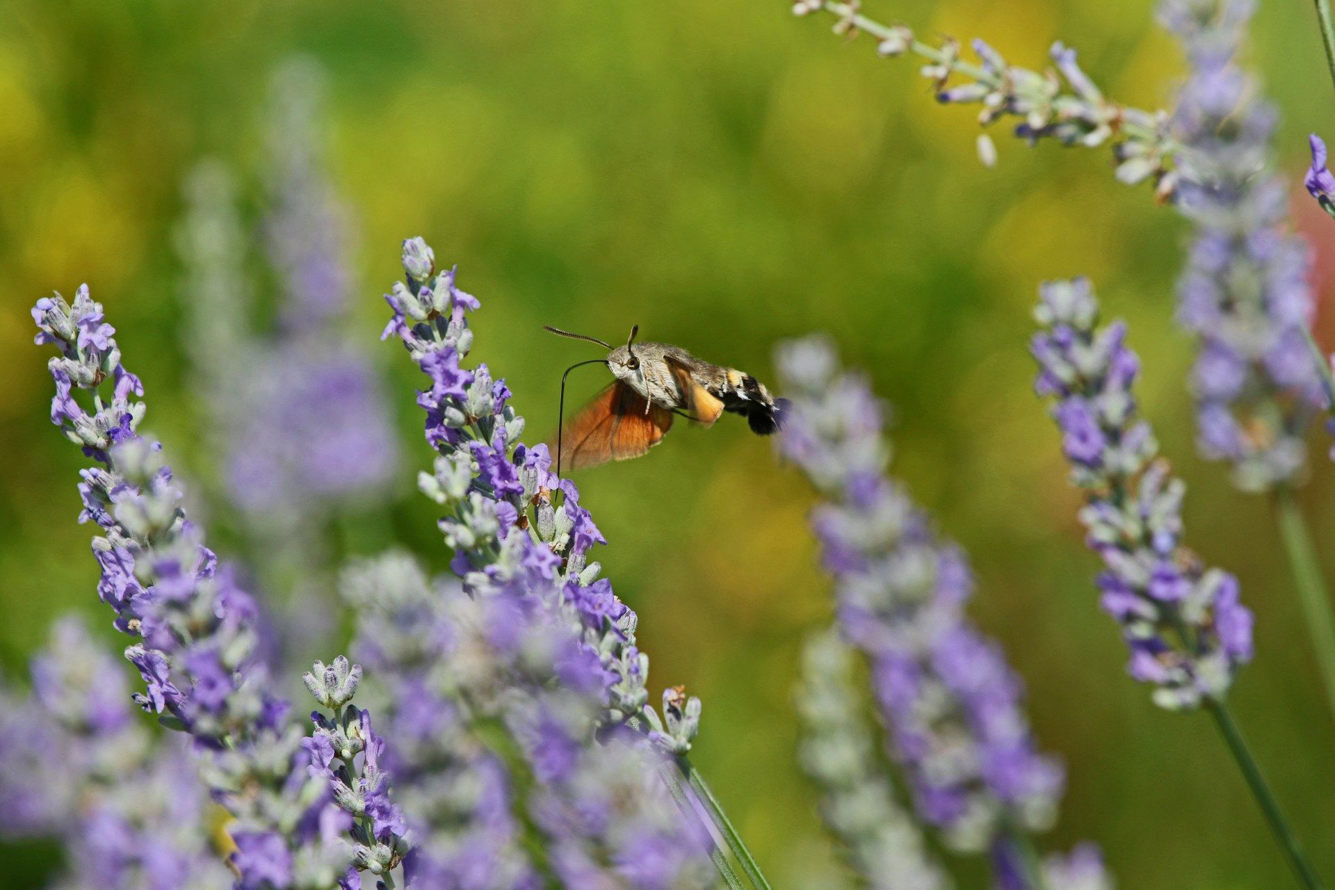Beate Funkenberg KG | Mülheim an der Ruhr