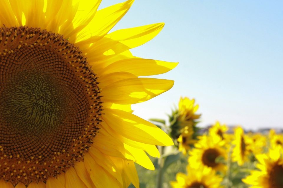 Beate Funkenberg KG | Mülheim an der Ruhr