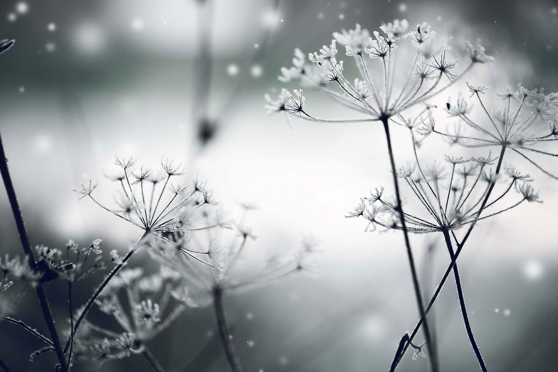 Beate Funkenberg KG | Mülheim an der Ruhr