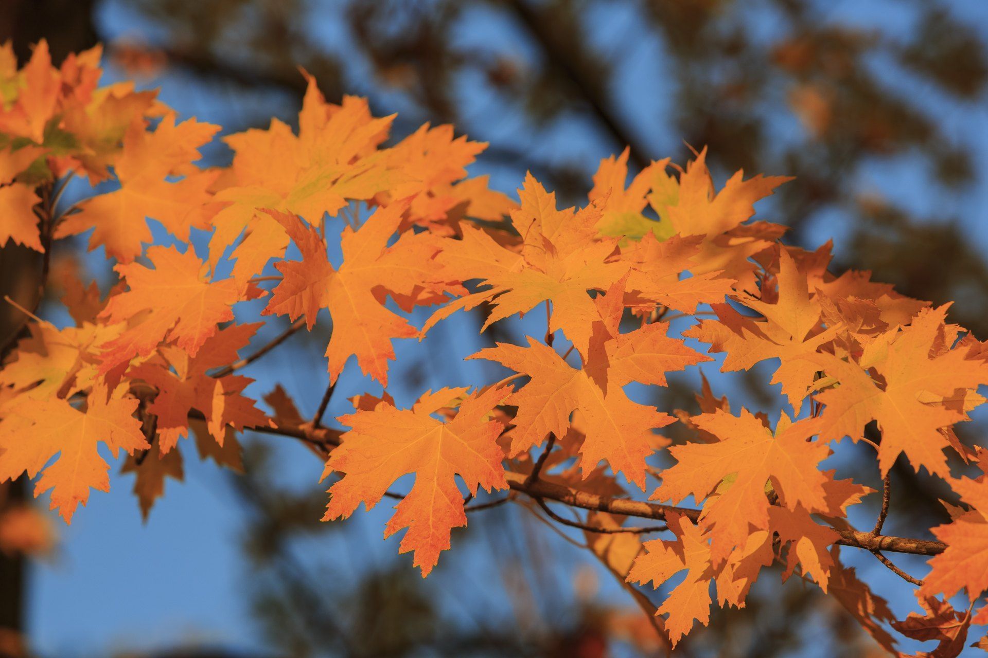 Beate Funkenberg KG | Mülheim an der Ruhr
