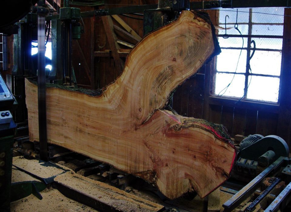 Antik-Schreinerei Herzog – Baumstamm