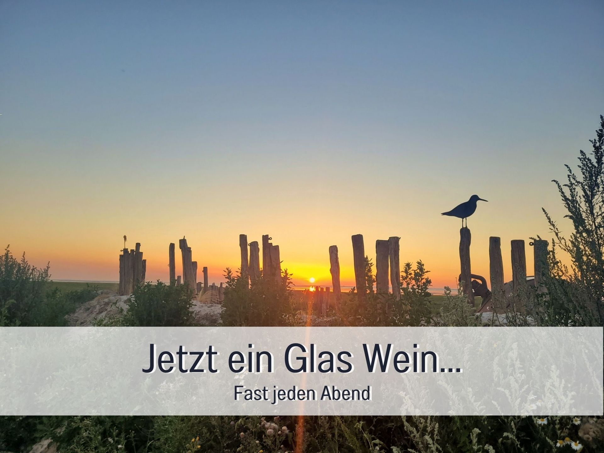 Sonnenuntergang am Deich - mit weitem Blick und Abendruhe