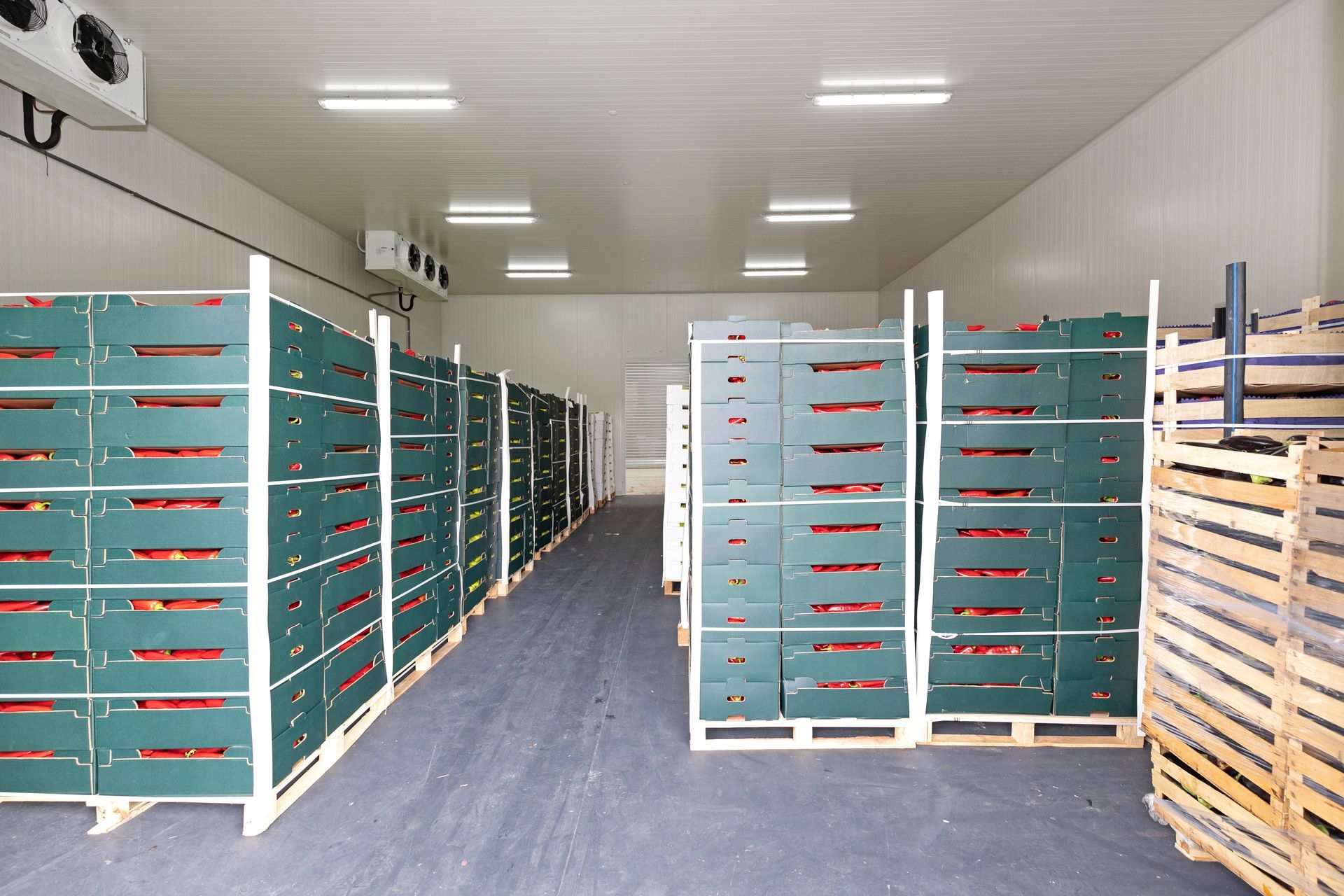 Une chambre froide avec des cagettes de légumes posées sur des palettes